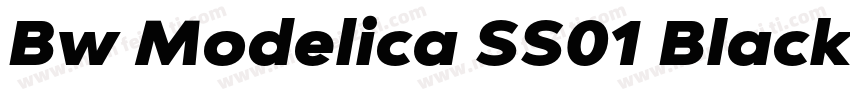 Bw Modelica SS01 Black字体转换